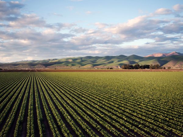 Managing agriculture operations with Business Central.