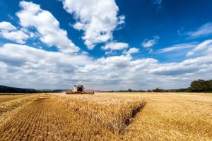 Business Central for Agriculture